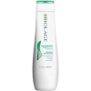 Immagine di Shampoo Anti-Dandruff Scalp Sync 250ml - Biolage