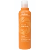 Immagine di Suncare Hair & Body Cleanser 250 ml - Aveda